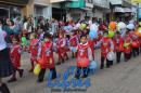Desfile de Jardines 2015
