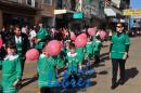 Desfile de Jardines 2015