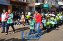 Desfile de Jardines 2015