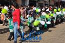 Desfile de Jardines 2015