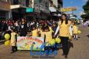 Desfile de Jardines 2015