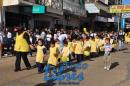 Desfile de Jardines 2015