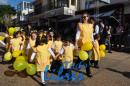 Desfile de Jardines 2015
