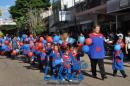 Desfile de Jardines 2015