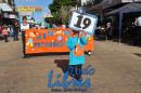 Desfile de Jardines 2015