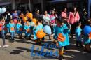 Desfile de Jardines 2015