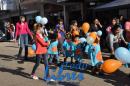 Desfile de Jardines 2015