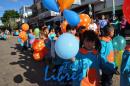 Desfile de Jardines 2015
