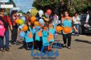 Desfile de Jardines 2015