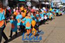 Desfile de Jardines 2015