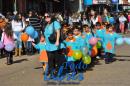 Desfile de Jardines 2015