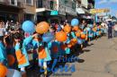 Desfile de Jardines 2015