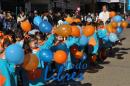 Desfile de Jardines 2015
