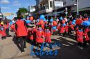 Desfile de Jardines 2015