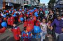 Desfile de Jardines 2015