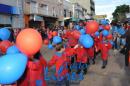 Desfile de Jardines 2015