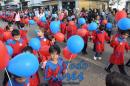 Desfile de Jardines 2015