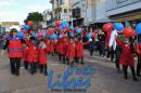 Desfile de Jardines 2015