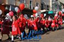 Desfile de Jardines 2015