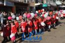 Desfile de Jardines 2015