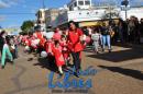 Desfile de Jardines 2015