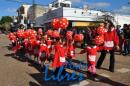 Desfile de Jardines 2015