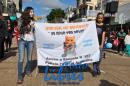 Desfile de Jardines 2015