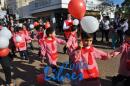 Desfile de Jardines 2015