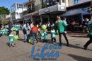 Desfile de Jardines 2015