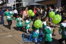 Desfile de Jardines 2015