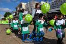 Desfile de Jardines 2015