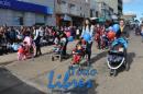Desfile de Jardines 2015