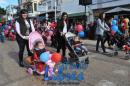 Desfile de Jardines 2015