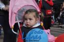 Desfile de Jardines 2015