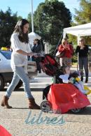 Primer lbum de fotos del desfile de los jardineritos