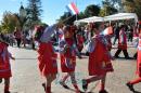 Primer lbum de fotos del desfile de los jardineritos