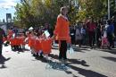 Primer lbum de fotos del desfile de los jardineritos
