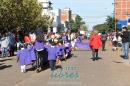 Primer lbum de fotos del desfile de los jardineritos