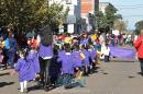 Primer lbum de fotos del desfile de los jardineritos
