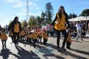 Primer lbum de fotos del desfile de los jardineritos
