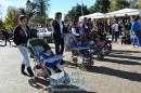 Primer lbum de fotos del desfile de los jardineritos