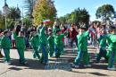 Primer lbum de fotos del desfile de los jardineritos
