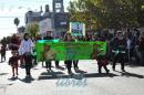 Primer lbum de fotos del desfile de los jardineritos