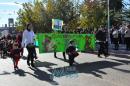 Primer lbum de fotos del desfile de los jardineritos