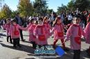 Segundo lbum de fotos del desfile de los jardineritos