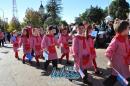 Segundo lbum de fotos del desfile de los jardineritos