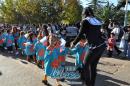Segundo lbum de fotos del desfile de los jardineritos