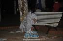 Imponente puesta en escena por el festejo del da de la Virgen