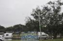 lbum de fotos del Fifa Fan Fest en Porto alegre