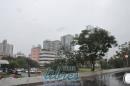 lbum de fotos del Fifa Fan Fest en Porto alegre
